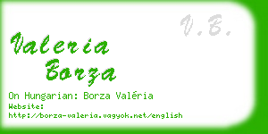 valeria borza business card